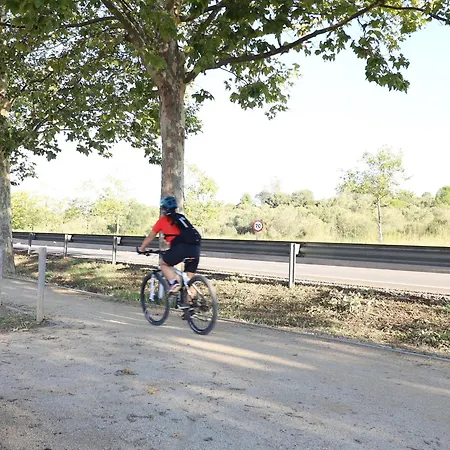 Alquiler En Residencial Porto Marina,roses, Amantes De La Bicicleta, El Running, Paseos, El Sol Y El Relax Junto A La Piscina, Un Entorno De Parques Naturales, Playas Y Ambiente Vacacional - Es-366-1
